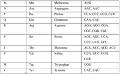 Figure imgf000052_0001