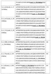 Figure 109130857-A0202-12-0113-128