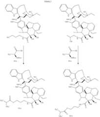 Figure US09943609-20180417-C00317