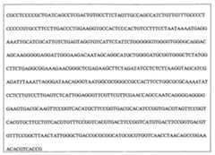 Figure 108128641-A0202-12-0118-966