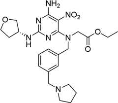 Figure BDA0000075082050001341