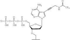 Figure US12215122-20250204-C00485