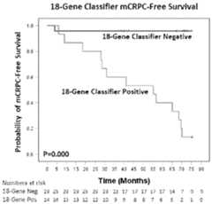 Figure imgf000061_0001