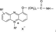 Figure BPA00001263293900371