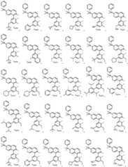 Figure FDA0003048026930000101