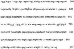 Figure IDA0003859342230000411