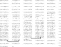 Figure US07501552-20090310-C00001