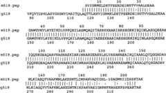 Figure A9981410800581