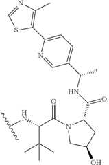 Figure US11679109-20230620-C00597