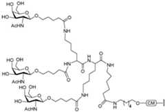 Figure 112016114379466-pct00232