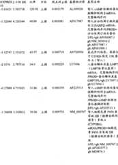 Figure BPA00001280678301431