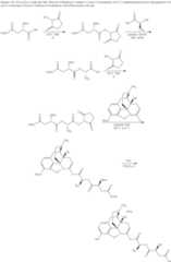 Figure US10226456-20190312-C01032