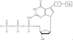 Figure US10570446-20200225-C00005