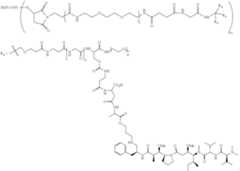 Figure US11135307-20211005-C00443