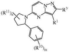 Figure imgf000008_0004