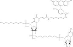 Figure US06627400-20030930-C00074