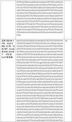 Figure BDA0002508391090001381