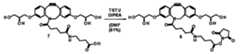 Figure 2024543404000044