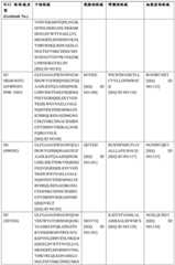 Figure BDA0004089703340000941