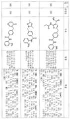 Figure 112006077693653-pct00142