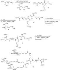 Figure imgf000161_0001