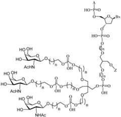 Figure imgf000178_0001
