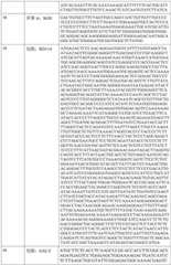 Figure BDA0002317806370000671