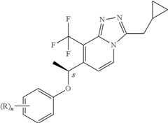 Figure US12048696-20240730-C00087