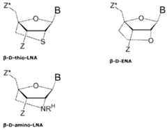 Figure imgf000034_0002