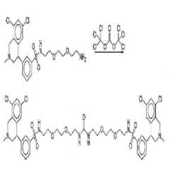 Figure 112011059052603-pct00427