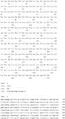 Figure IDA0000079231860000021