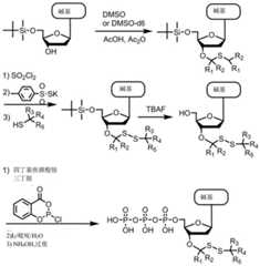 Figure BDA0003670511740004481