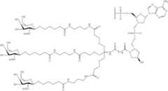 Figure US10793862-20201006-C00147