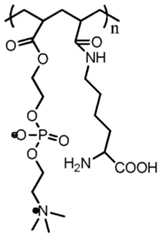 Figure imgf000028_0001