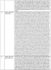 Figure imgf000092_0001