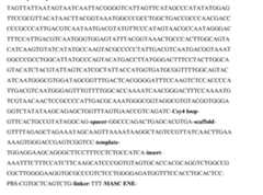 Figure imgf000798_0001