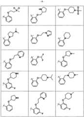 Figure imgf000009_0001