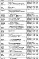 Figure BPA0000291811450003351