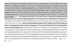 Figure imgf000052_0001