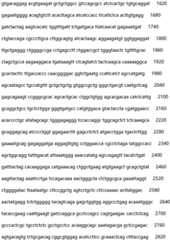 Figure IDA0002935257620000431