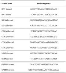 Figure BDA0003608034860000082