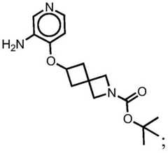 Figure BDA0001412716210003461