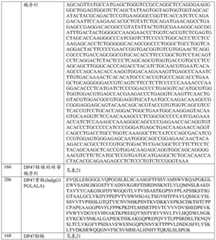 Figure BDA0001868160740001781