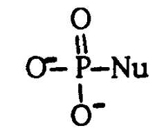 Figure imgf000009_0001