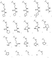 Figure FDA0003652151050000251