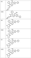 Figure FDA0003465902320000241