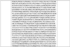 Figure imgf000191_0001