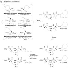 Figure imgf000164_0001