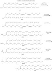 Figure US09220683-20151229-C00498