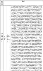 Figure BDA0004033970230006971